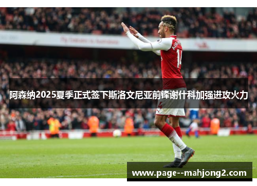 阿森纳2025夏季正式签下斯洛文尼亚前锋谢什科加强进攻火力